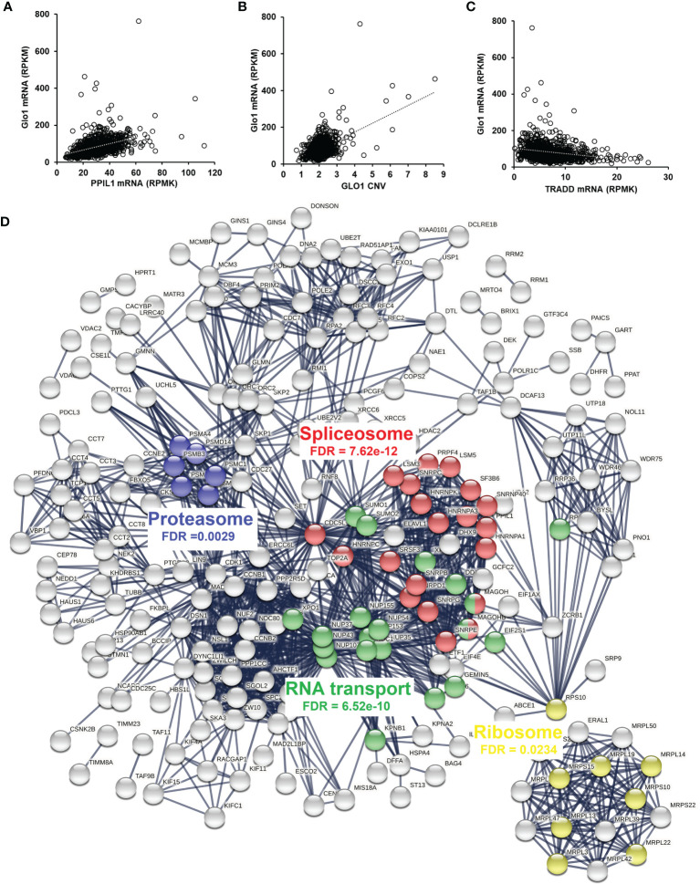 Figure 4