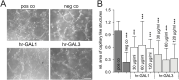 Fig 7