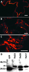 Figure 2.