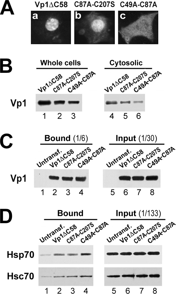 FIG. 6.