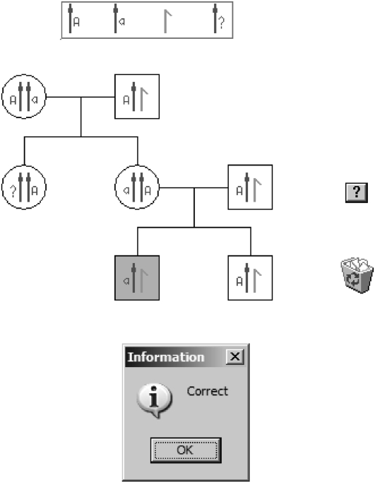 Figure 3.—