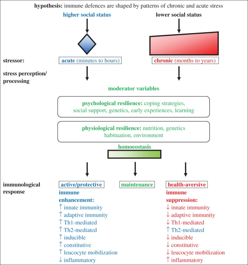 Figure 2.