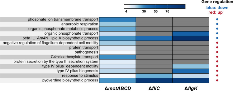 Figure 3—figure supplement 4.