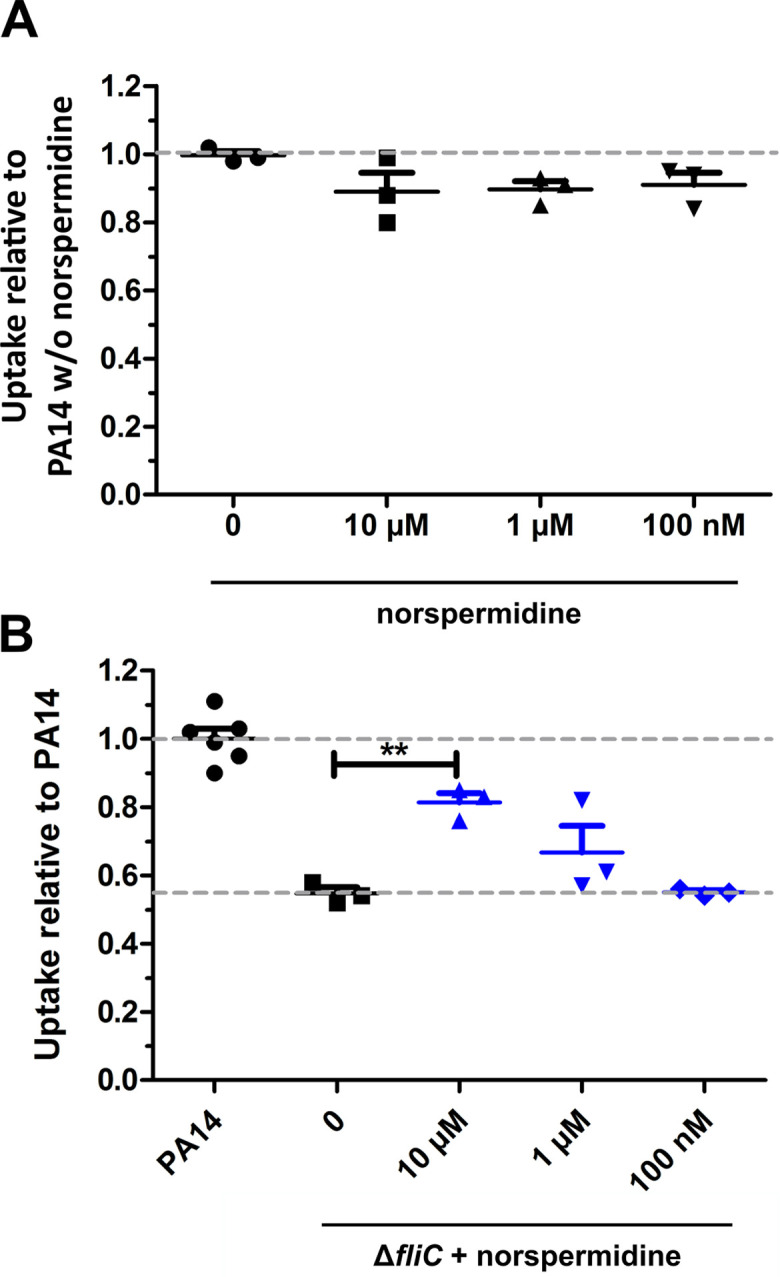 Figure 7—figure supplement 2.