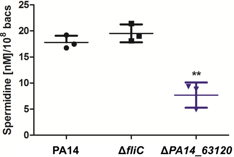 Figure 7—figure supplement 1.