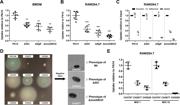 Figure 2.