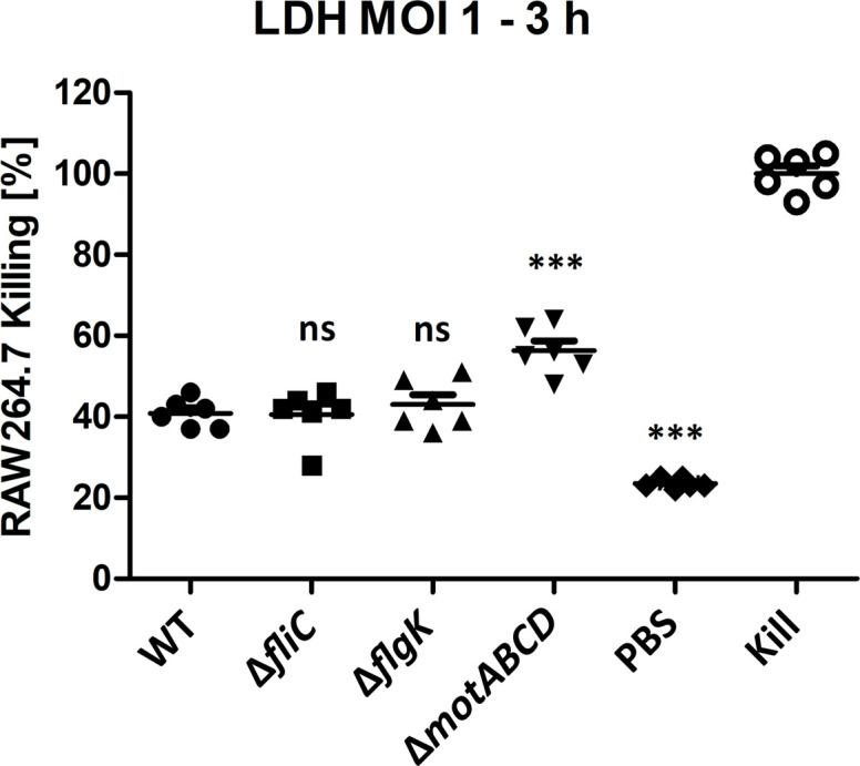 Figure 3—figure supplement 2.