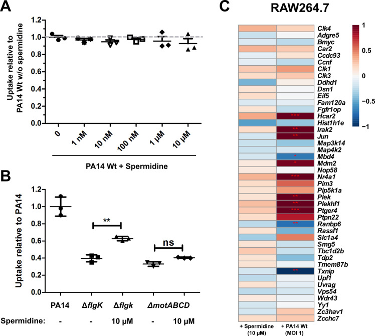 Figure 6—figure supplement 1.