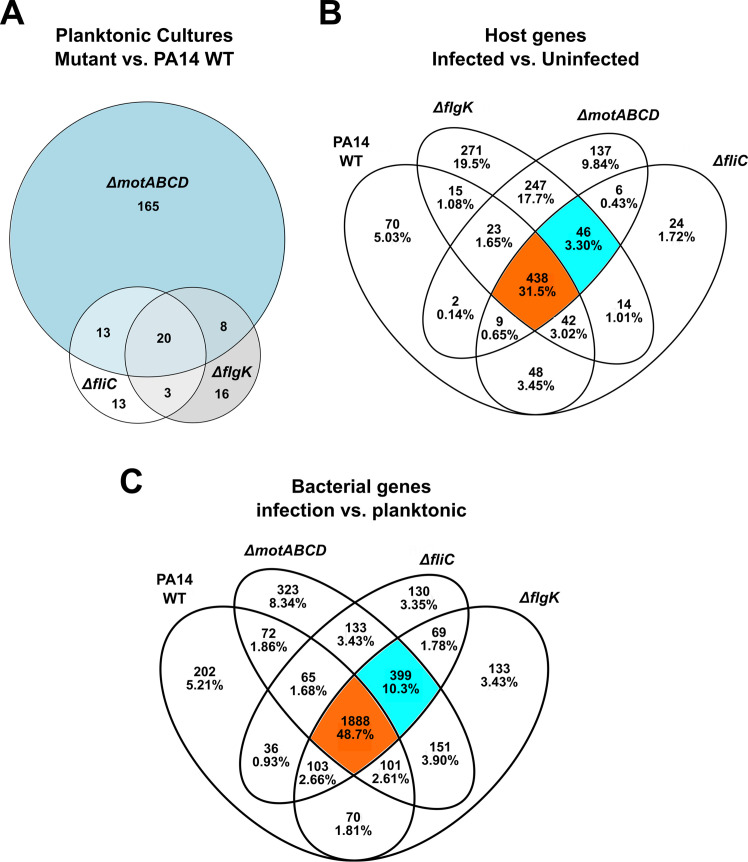 Figure 3—figure supplement 1.