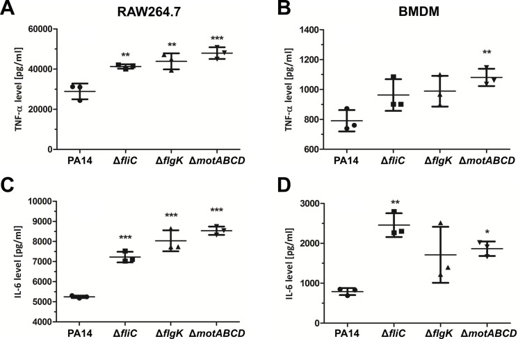 Figure 4—figure supplement 1.