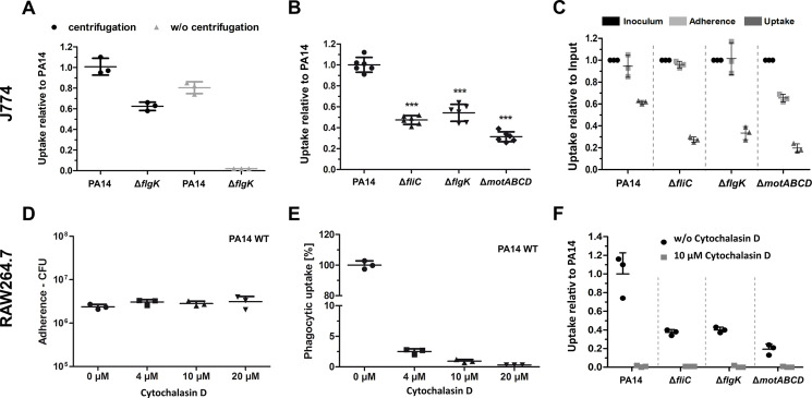 Figure 2—figure supplement 1.