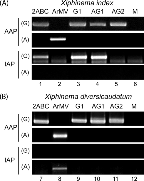 FIG. 6.