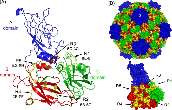 FIG. 2.