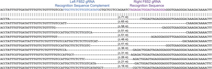 Fig 10