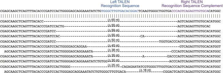 Fig 8