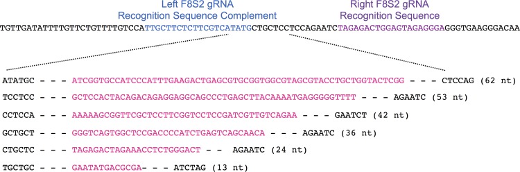 Fig 11