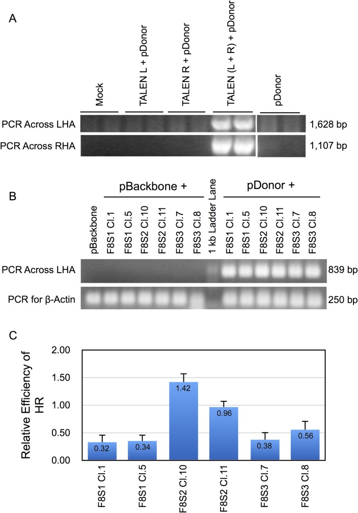 Fig 13