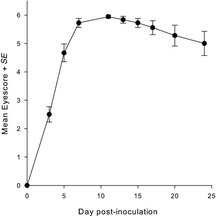 FIGURE 2