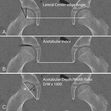 Fig. 2 A-C