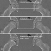 Fig. 2 A-C
