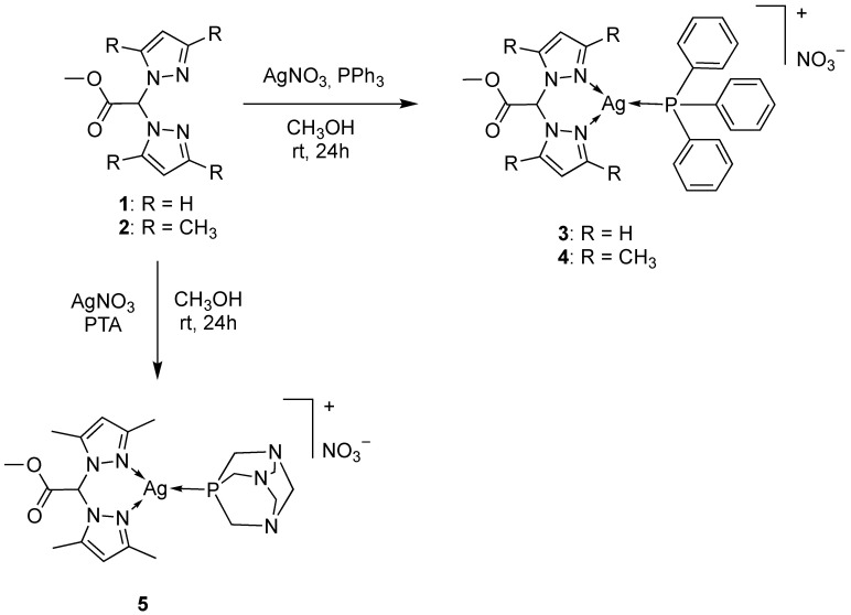 Scheme 1