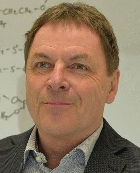 graphic file with name 216_2023_5070_Figd_HTML.jpg