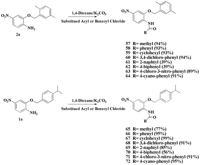 Scheme 2