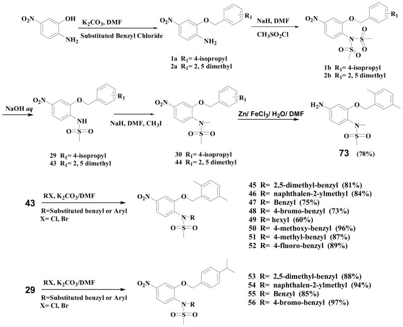 Scheme 1