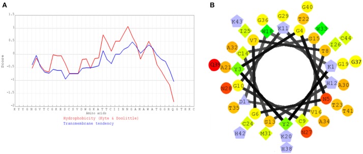 Figure 6