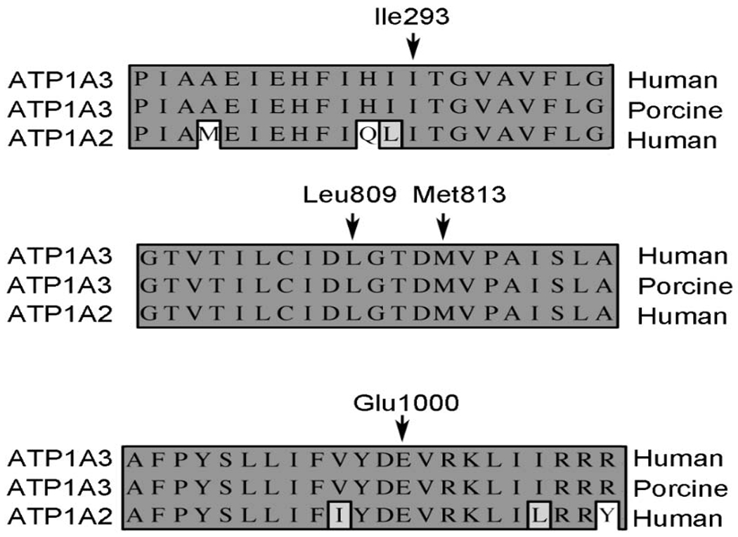 Figure 1: