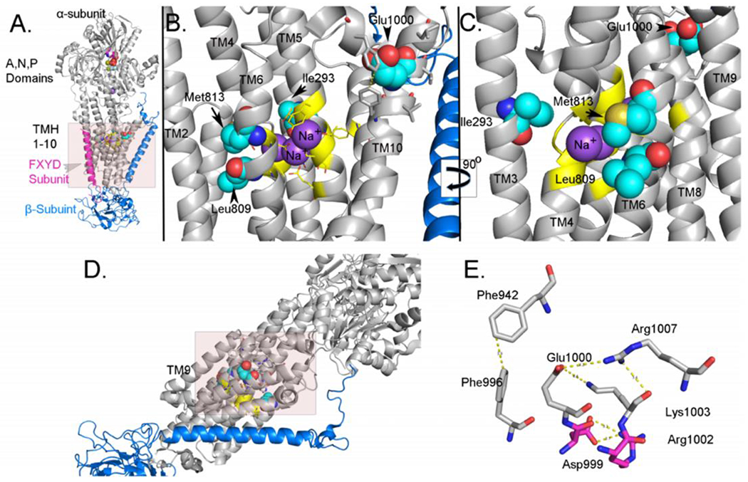 Figure 2: