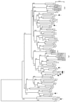 FIG. 4.