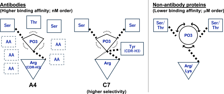 Figure 6