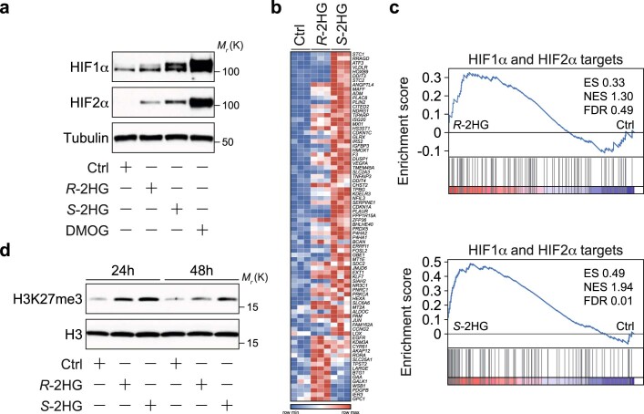 Extended Data Fig. 2