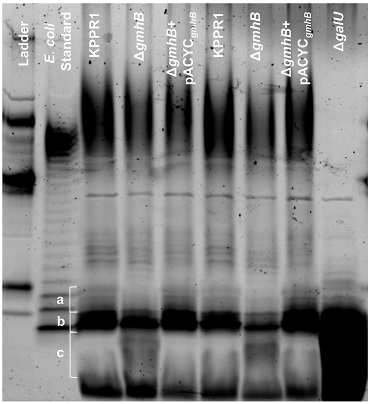 FIG 5