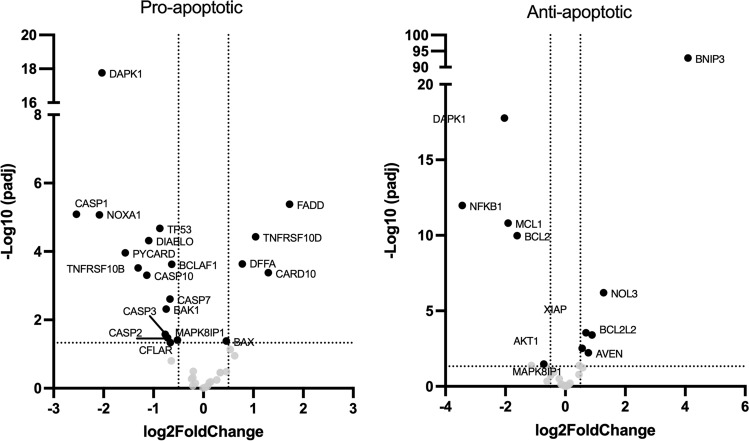 Fig. 12