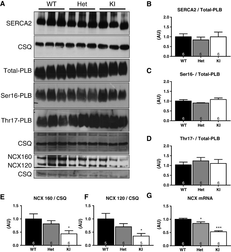 Fig. 7