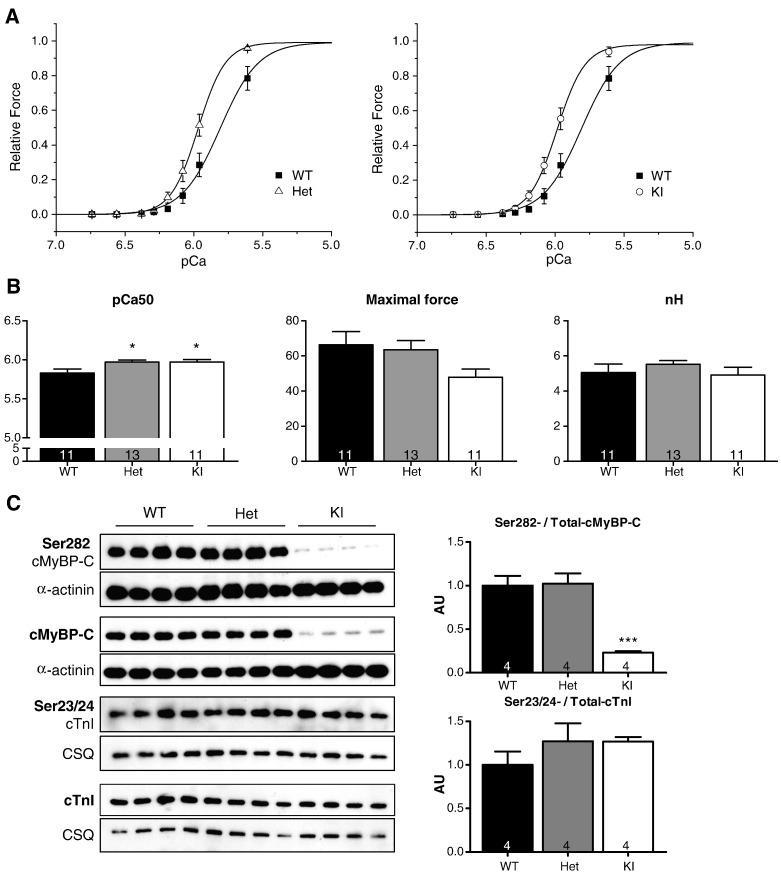 Fig. 2