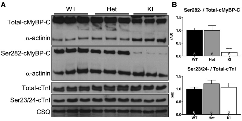 Fig. 6