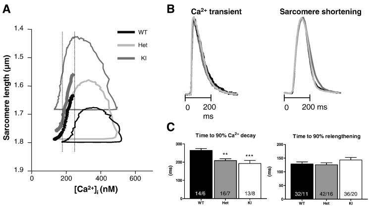 Fig. 4