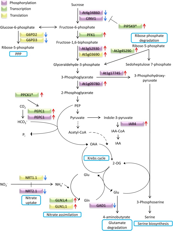 Figure 4.