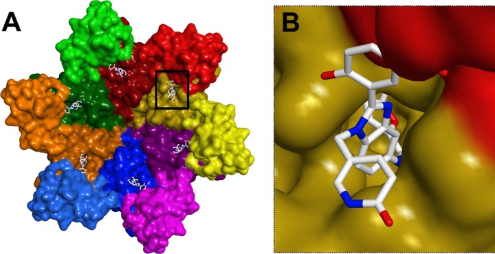 Fig 9