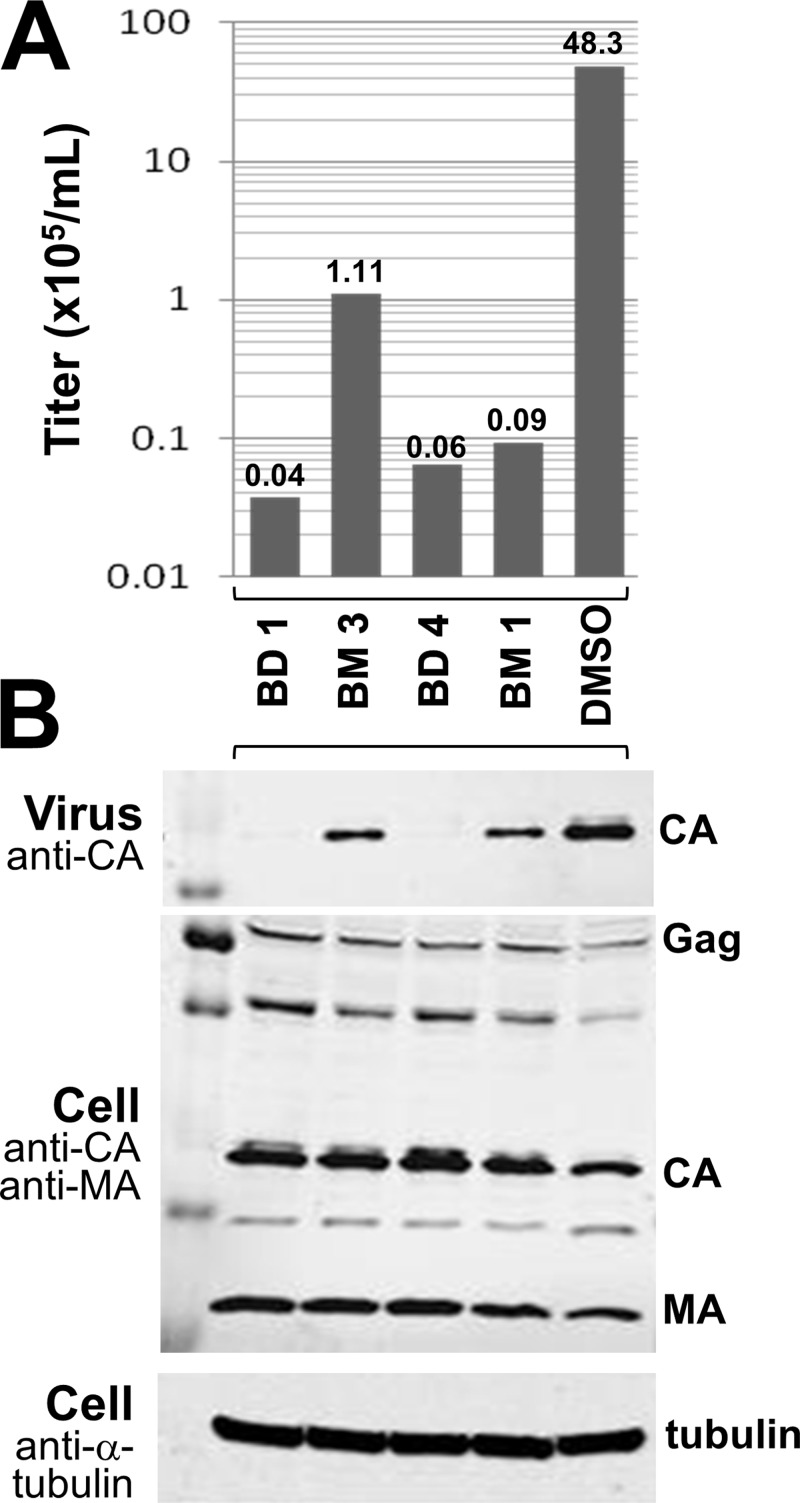 Fig 4