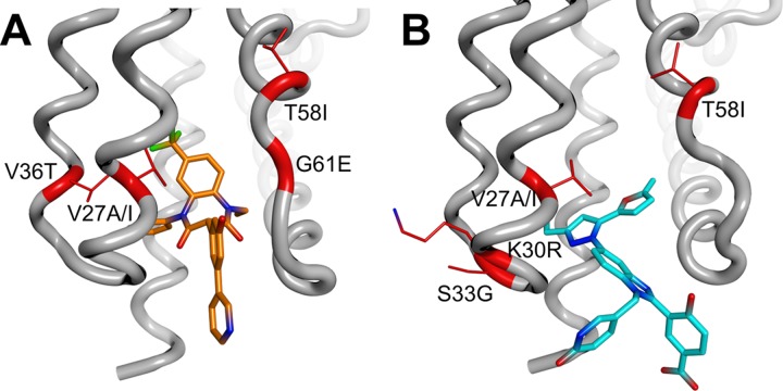 Fig 6