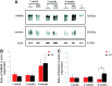 <b>FIG. 11.</b>