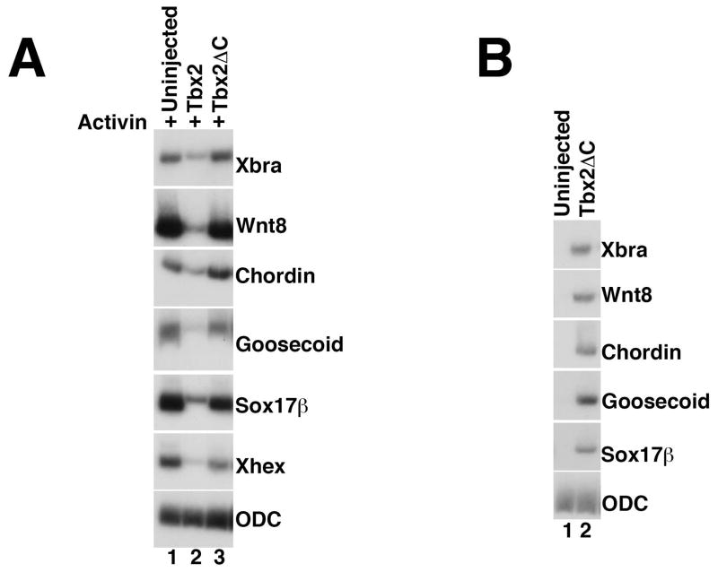 Fig 5