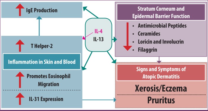 FIGURE 1.