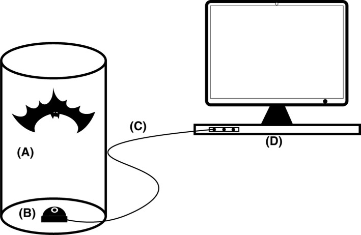 Figure 2