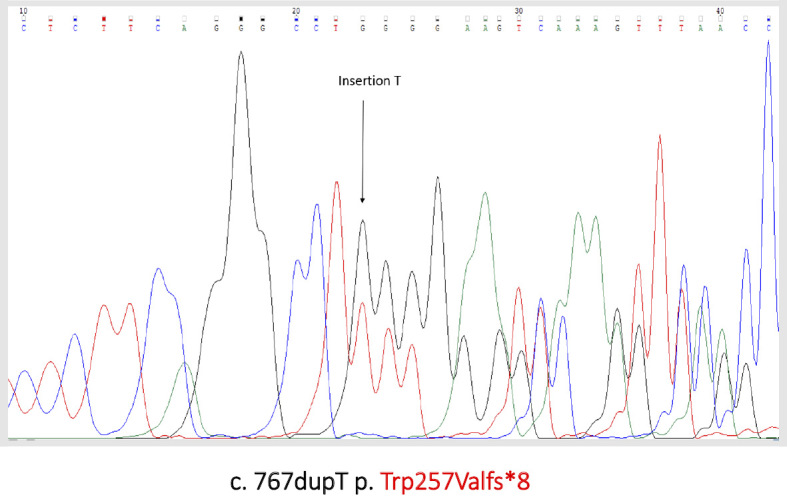 Figure 4.