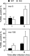 FIG. 4.